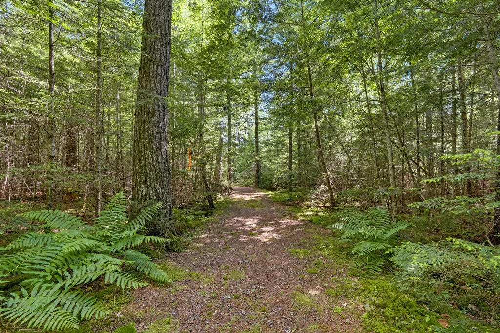 Lot 131 Upper Lead Mountain Pond Road T28 Md ME 04622