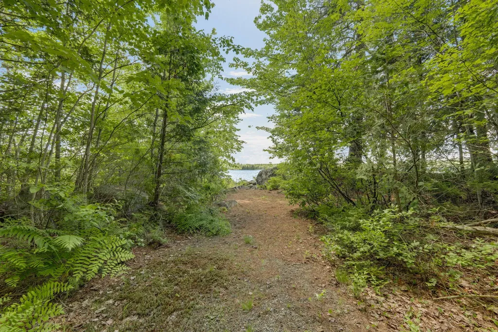 Lot 131 Upper Lead Mountain Pond Road T28 Md ME 04622