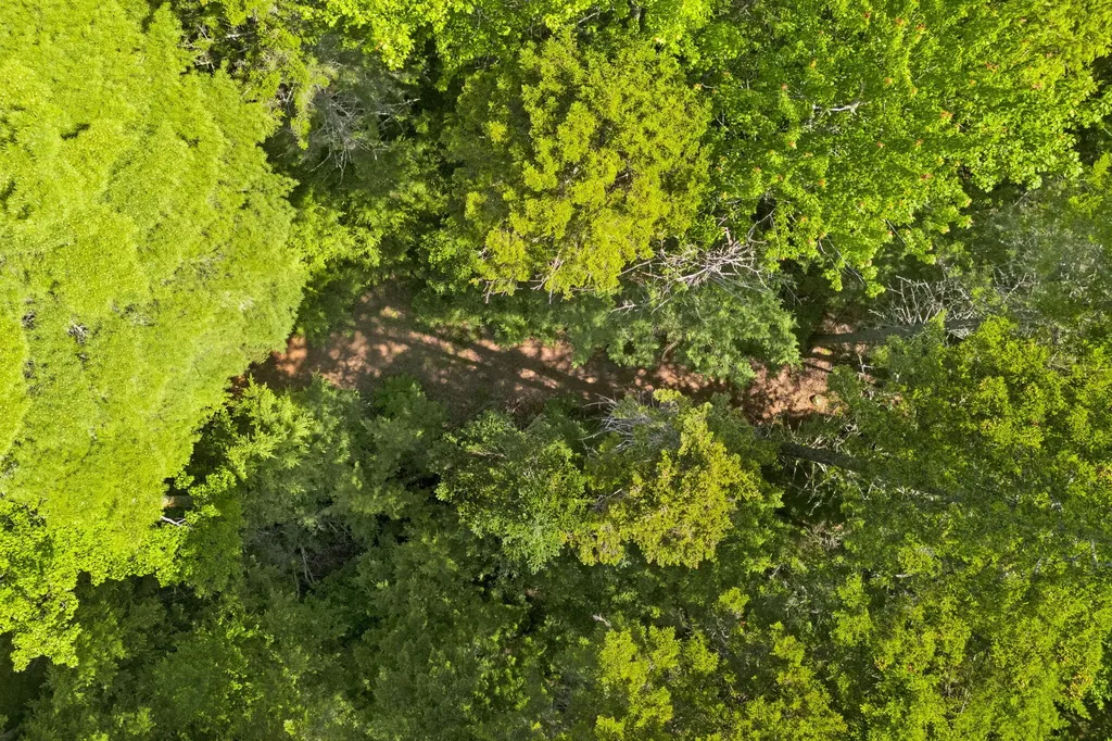 Lot 131 Upper Lead Mountain Pond Road T28 Md ME 04622