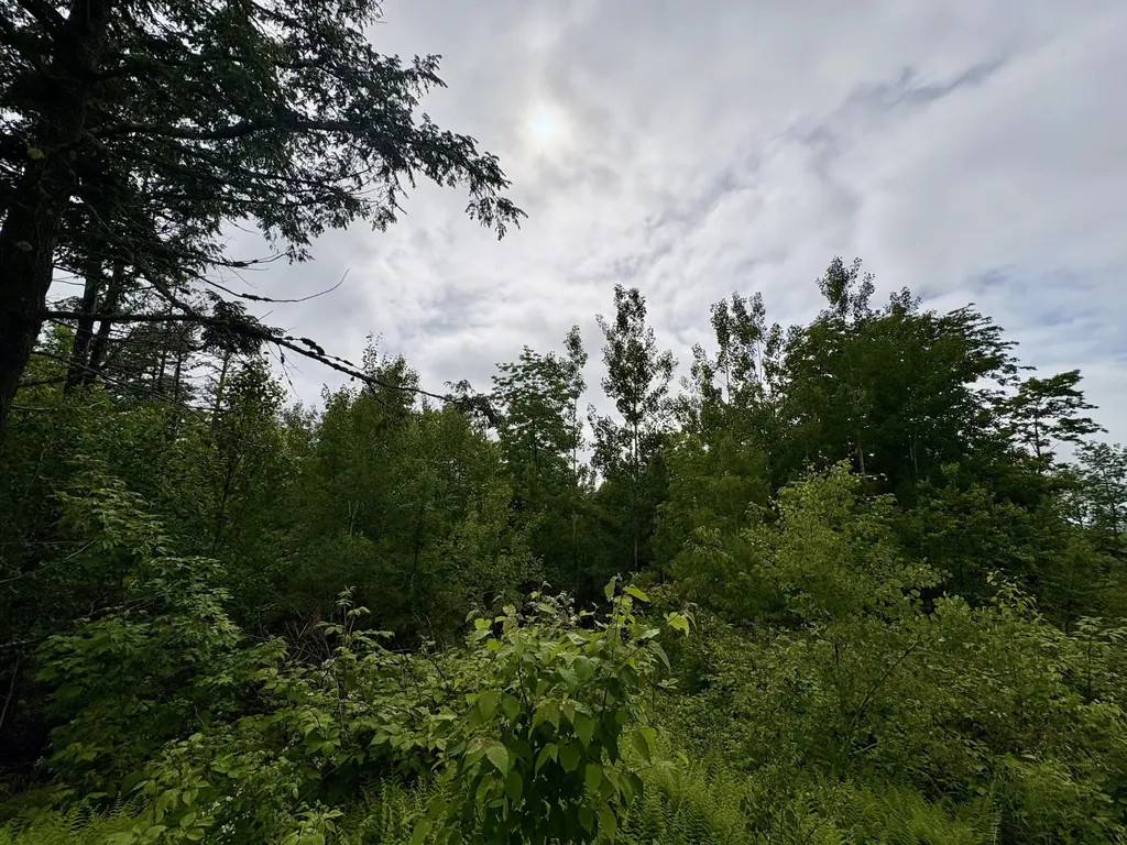 Lot 11 Mt. Jefferson Heights Lee ME 04455