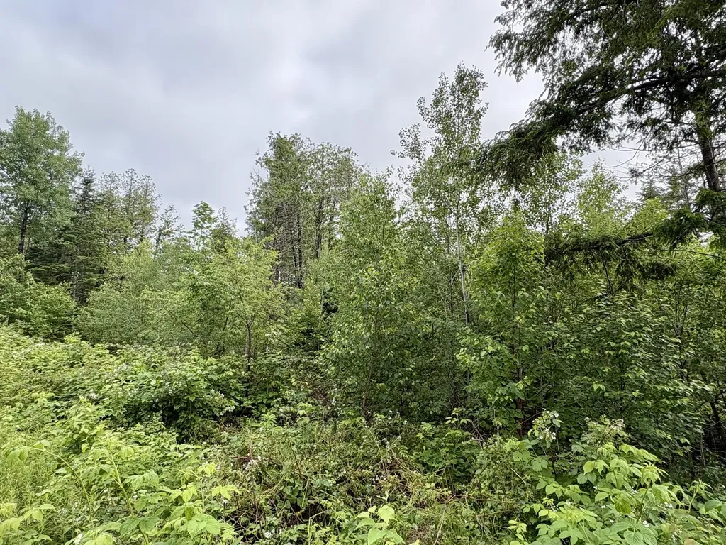 Lot 11 Mt. Jefferson Heights Lee ME 04455