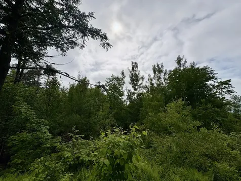 Lot 11 Mt. Jefferson Heights Lee ME 04455