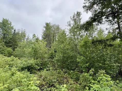 Lot 11 Mt. Jefferson Heights Lee ME 04455