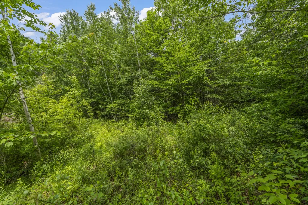 LOT17-30-1 Howland Hill Road Belgrade ME 04917