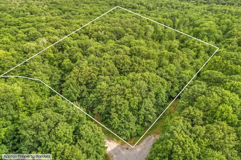 Lot 6 Forest Trail Drive Turner ME 04282