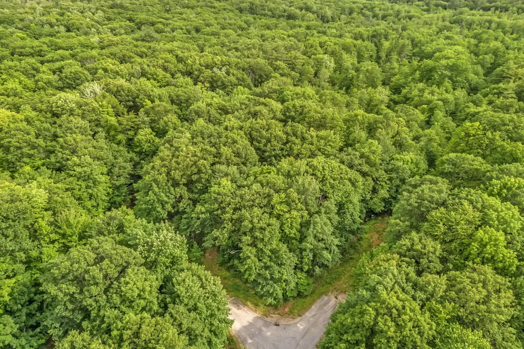 Lot 6 Forest Trail Drive Turner ME 04282