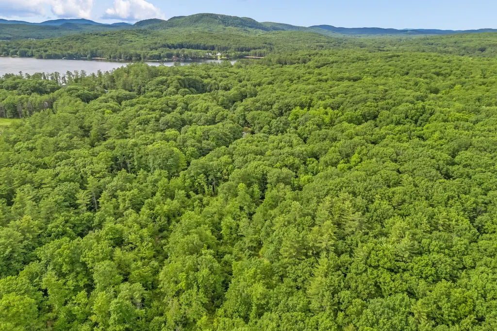 Lot 6 Forest Trail Drive Turner ME 04282