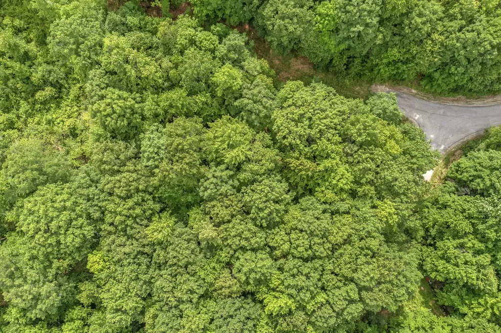 Lot 6 Forest Trail Drive Turner ME 04282