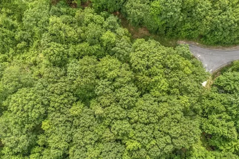 Lot 6 Forest Trail Drive Turner ME 04282