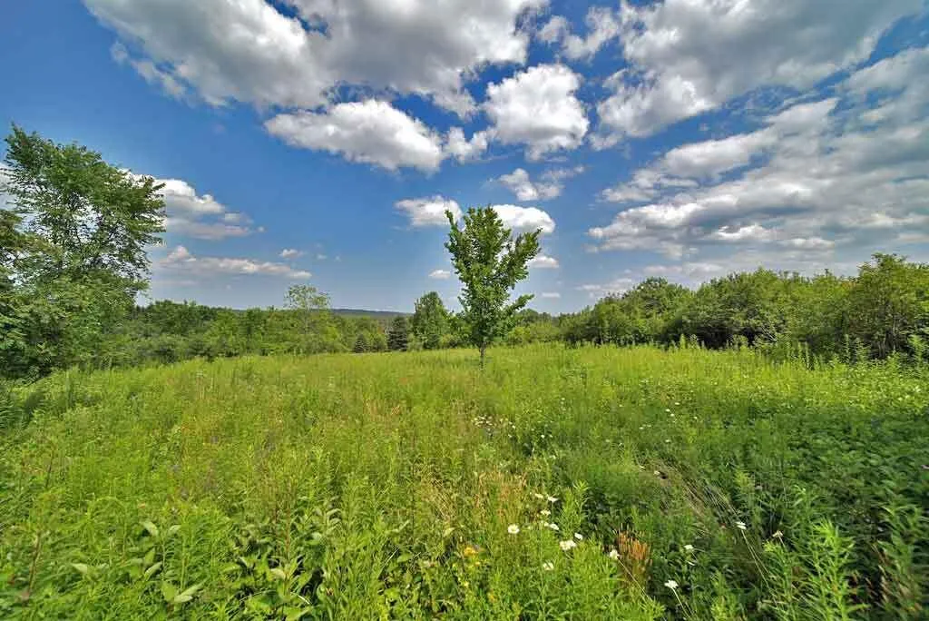 Lot 16-b Maine 11 Patten ME 04765