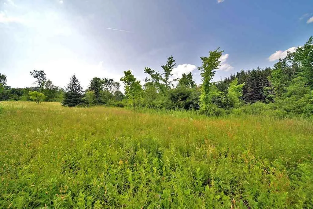 Lot 16-b Maine 11 Patten ME 04765