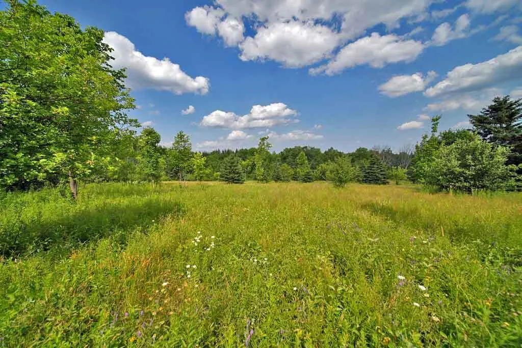 Lot 16-b Maine 11 Patten ME 04765
