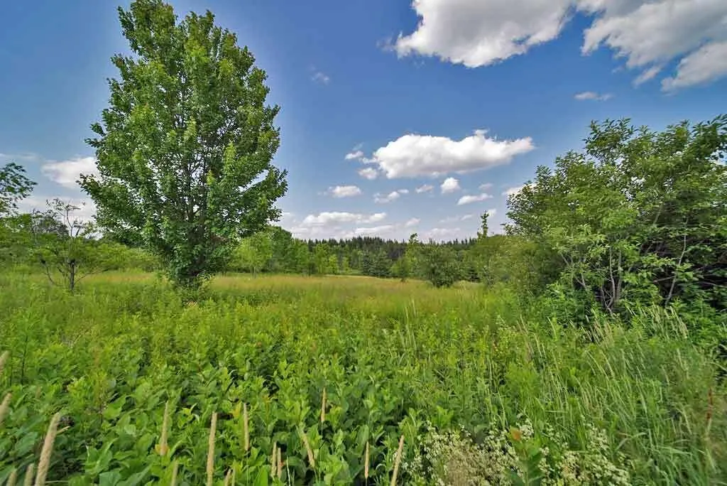 Lot 16-b Maine 11 Patten ME 04765