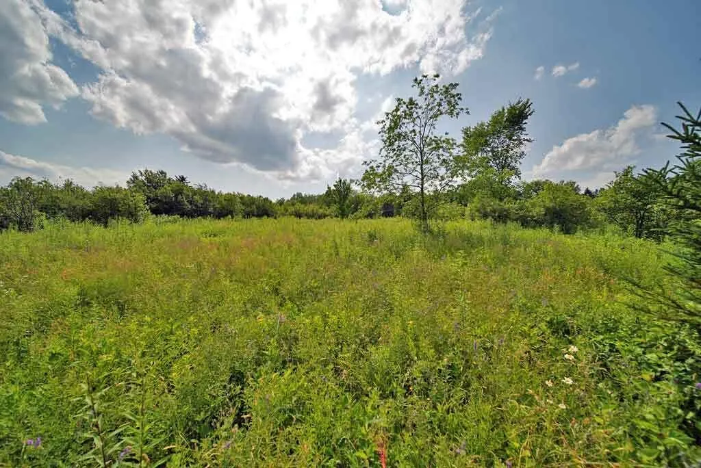 Lot 16-b Maine 11 Patten ME 04765