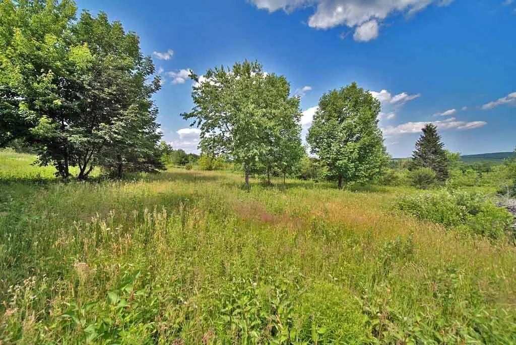 Lot 16-b Maine 11 Patten ME 04765