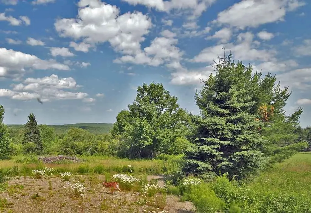Lot 16-b Maine 11 Patten ME 04765