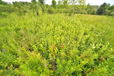 Lot 16-b Maine 11 Patten ME 04765