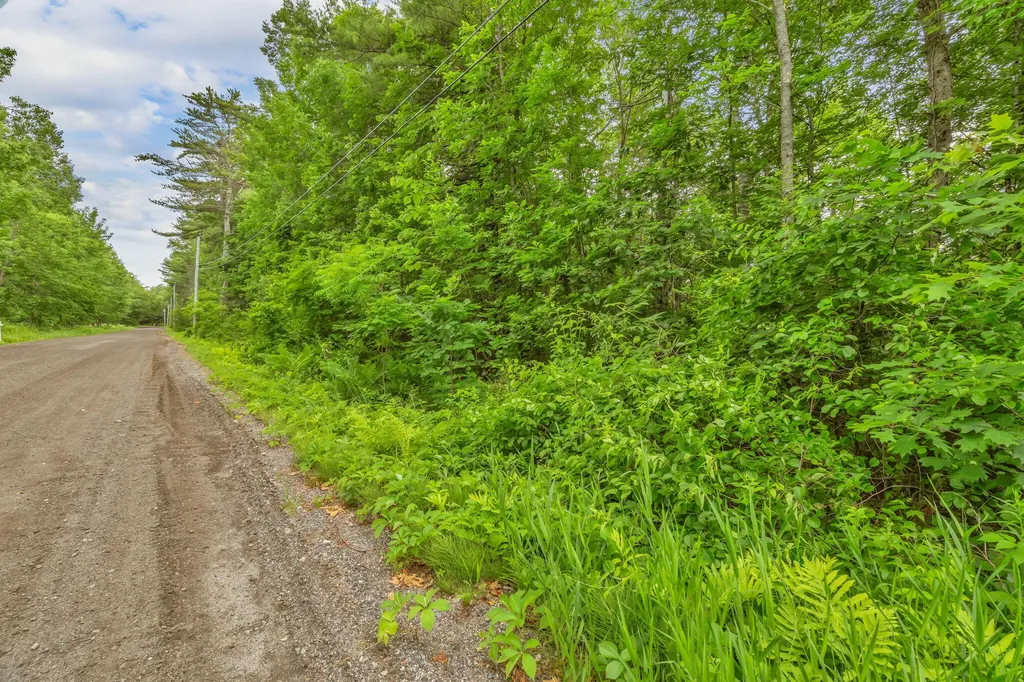 Lot 002 Coburn Road Greene ME 04236