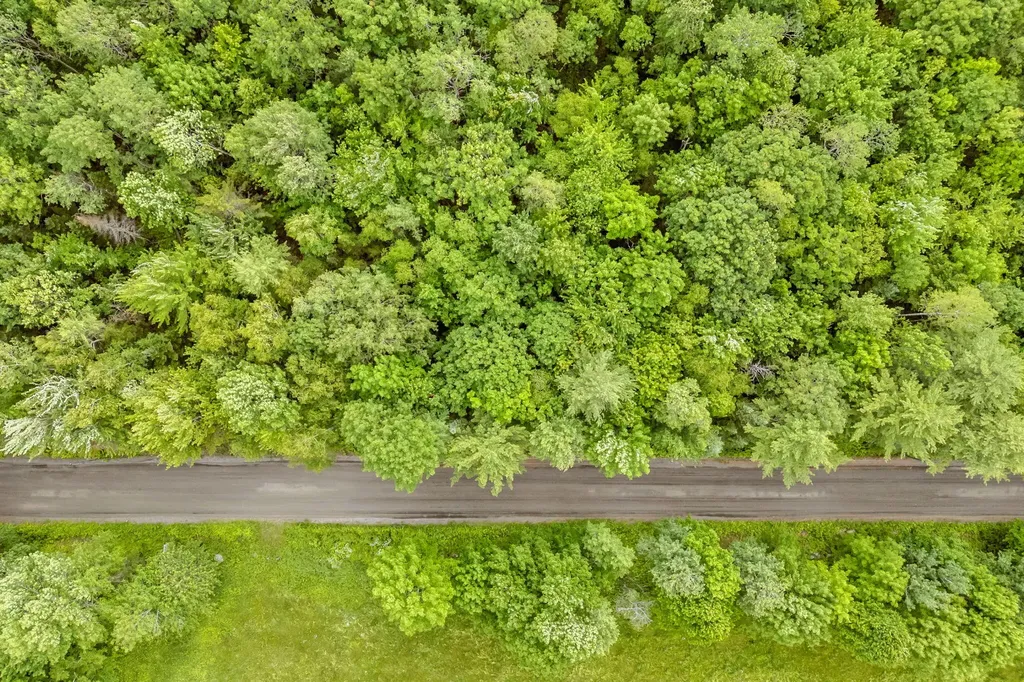 Lot 002 Coburn Road Greene ME 04236