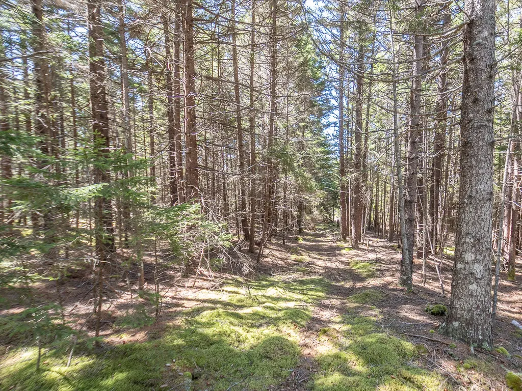 4/30 M/l North Road Swans Island ME 04685