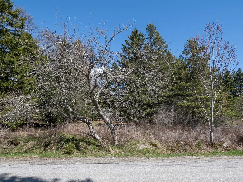4/30 M/l North Road Swans Island ME 04685