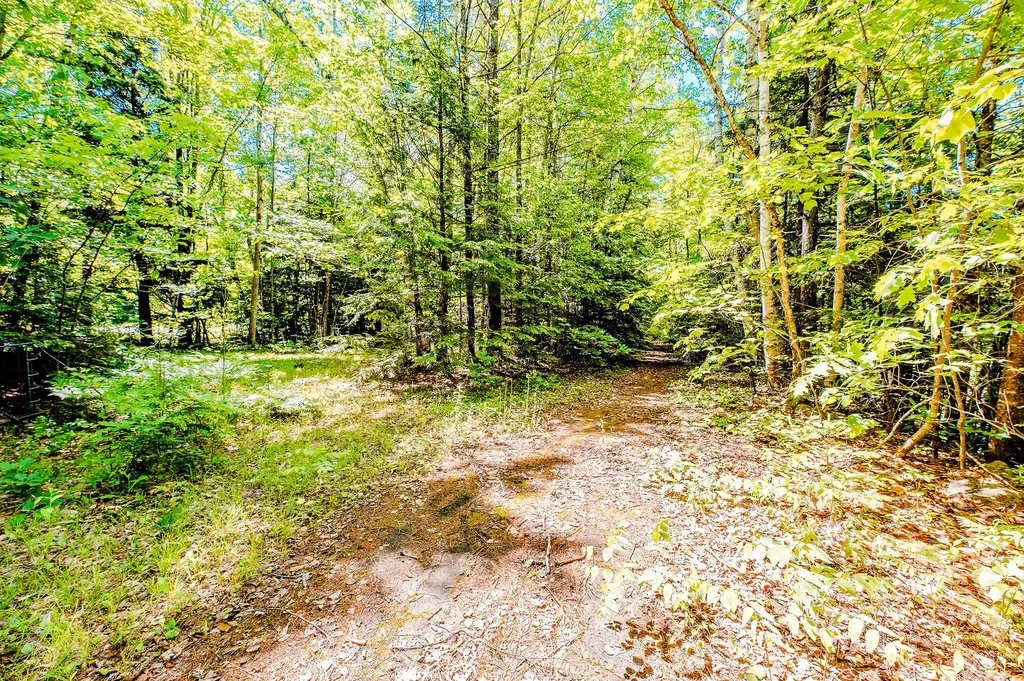 1574 Roxbury Road Roxbury ME 04275