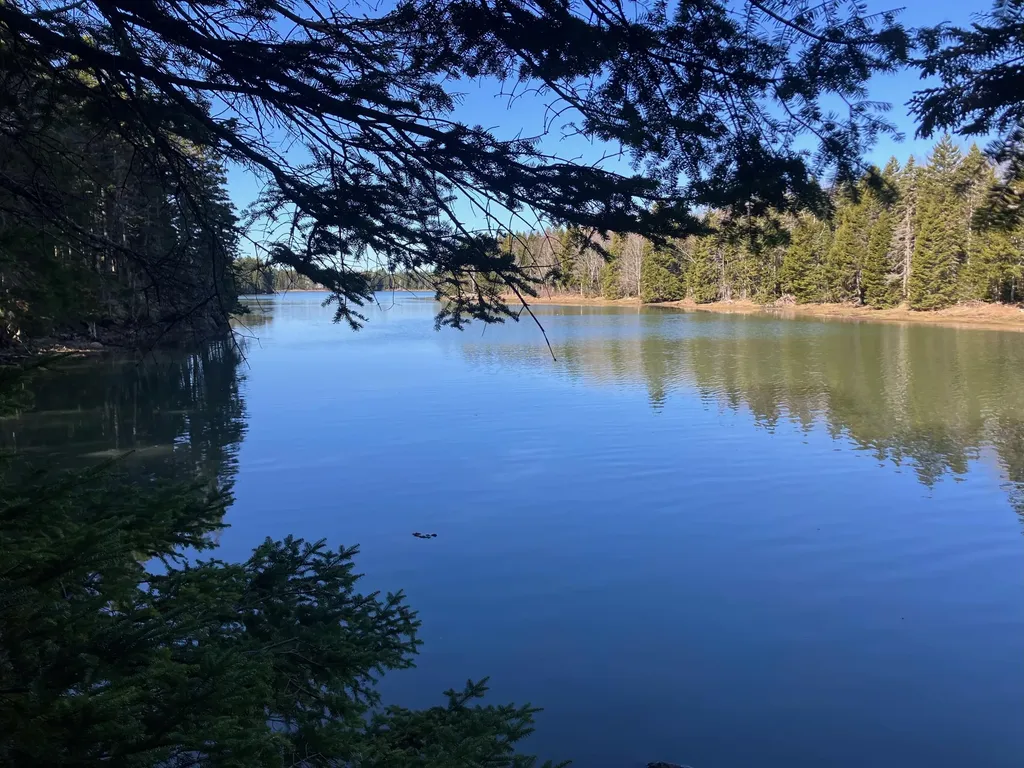373 Tom Leighton Point Road Milbridge ME 04658