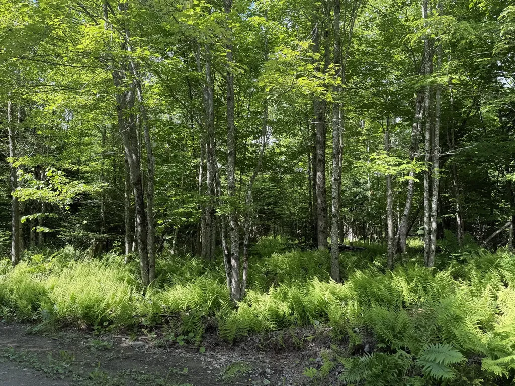 L1 Lily Bay Road Greenville ME 04441