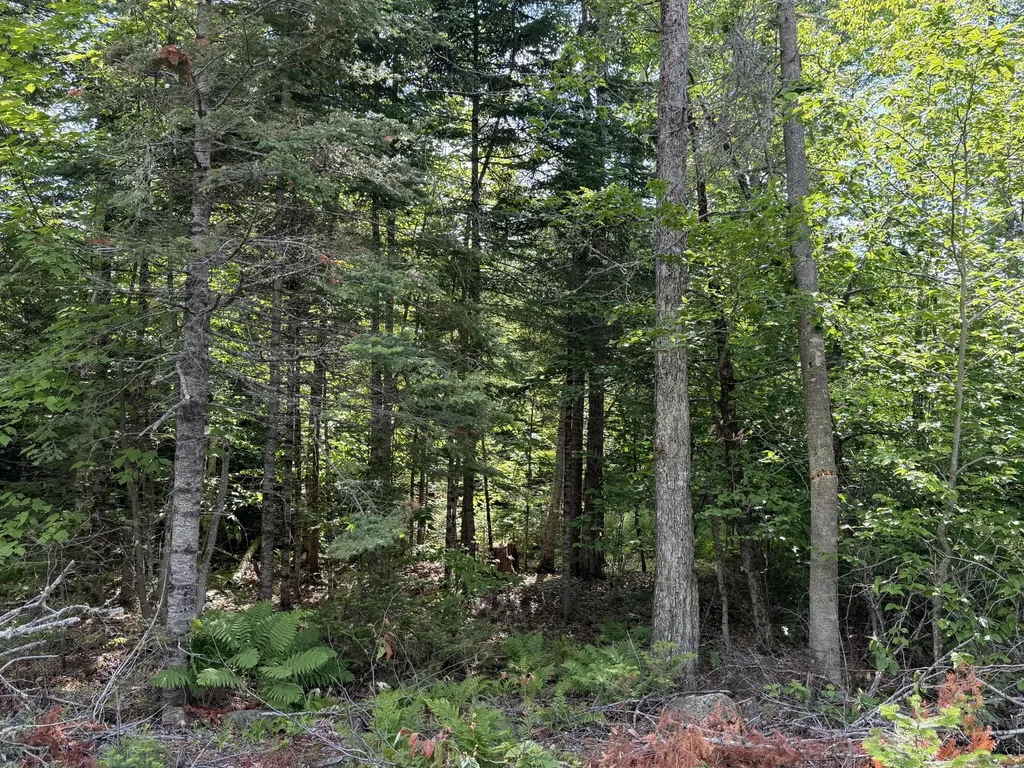 L1 Lily Bay Road Greenville ME 04441