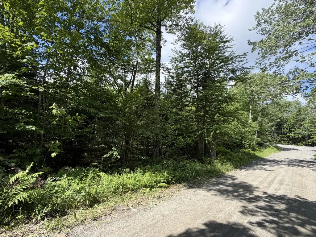 L1 Lily Bay Road Greenville ME 04441
