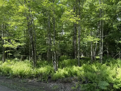 L1 Lily Bay Road Greenville ME 04441