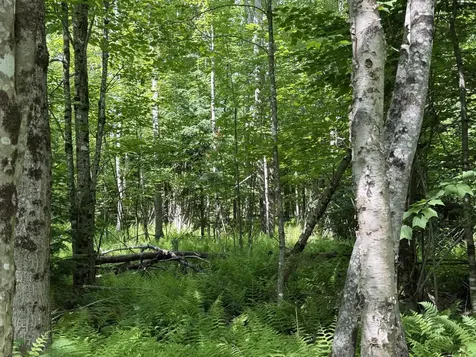 L1 Lily Bay Road Greenville ME 04441
