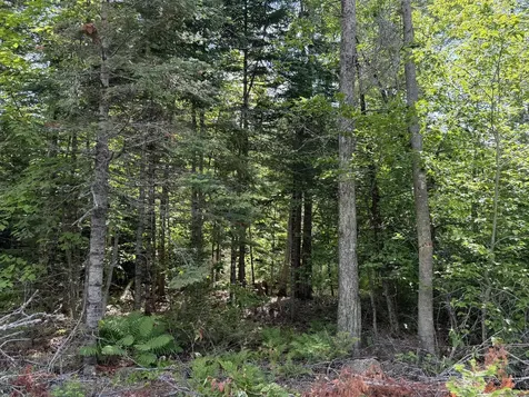 L1 Lily Bay Road Greenville ME 04441
