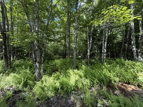 L1 Lily Bay Road Greenville ME 04441
