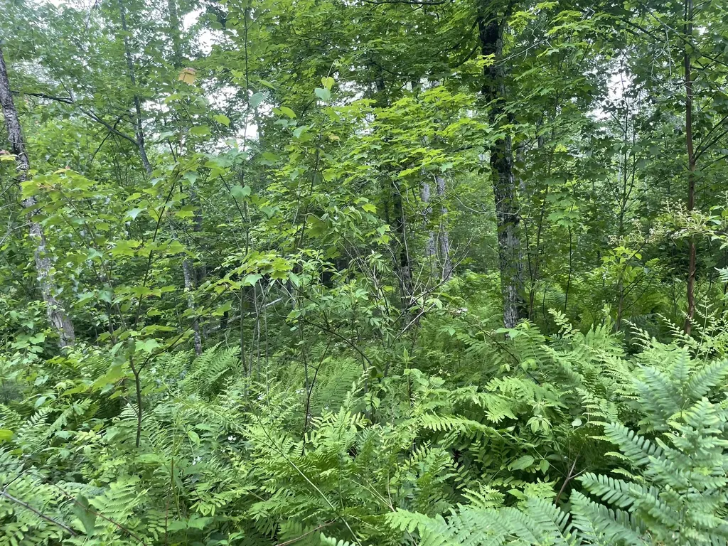 19 Swan Road New Sharon ME 04955