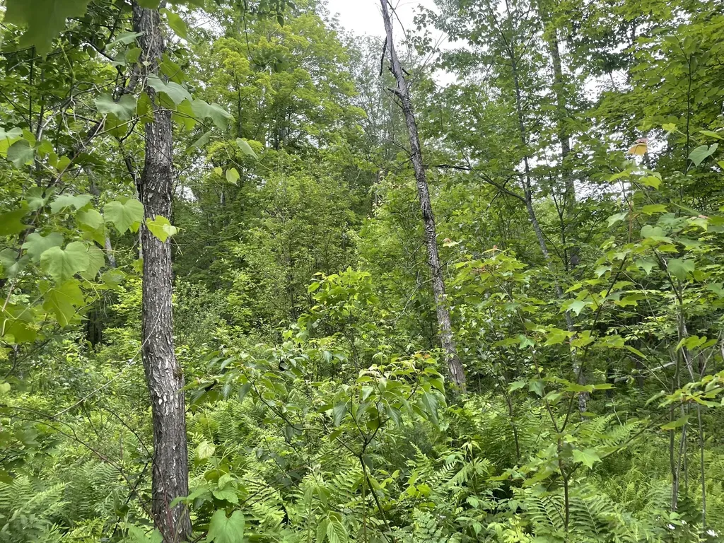 19 Swan Road New Sharon ME 04955