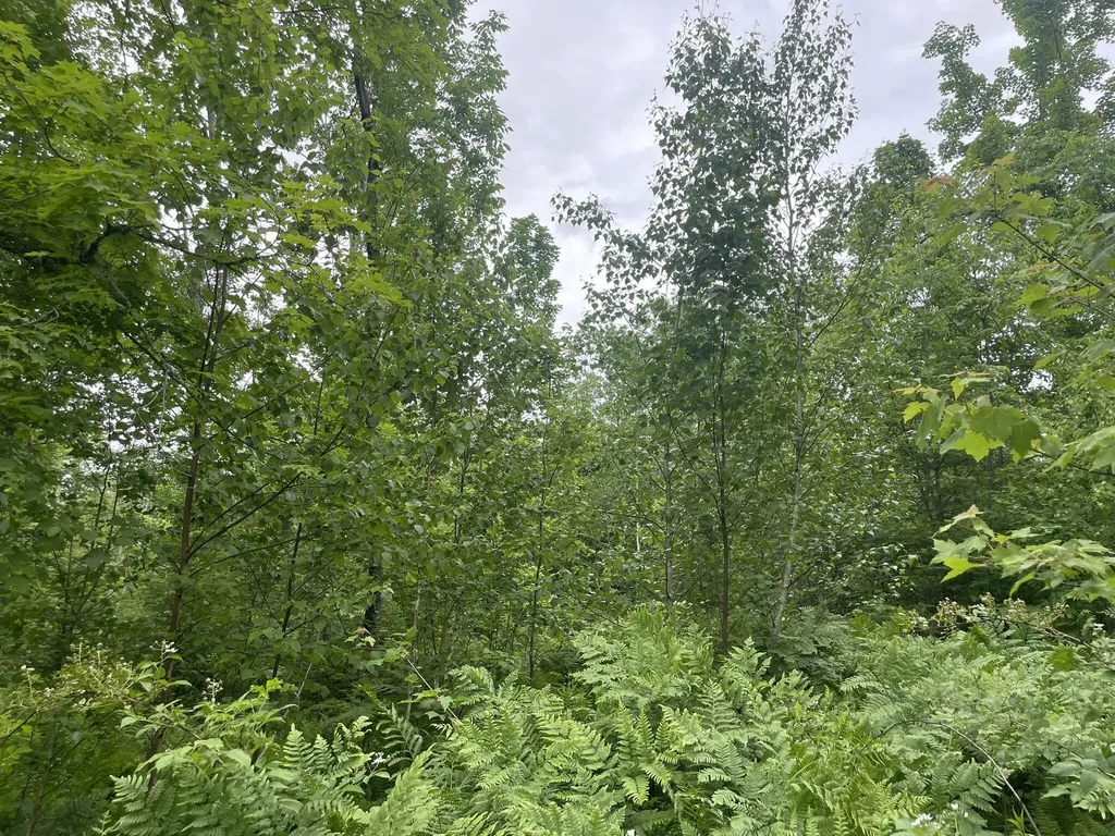 19 Swan Road New Sharon ME 04955