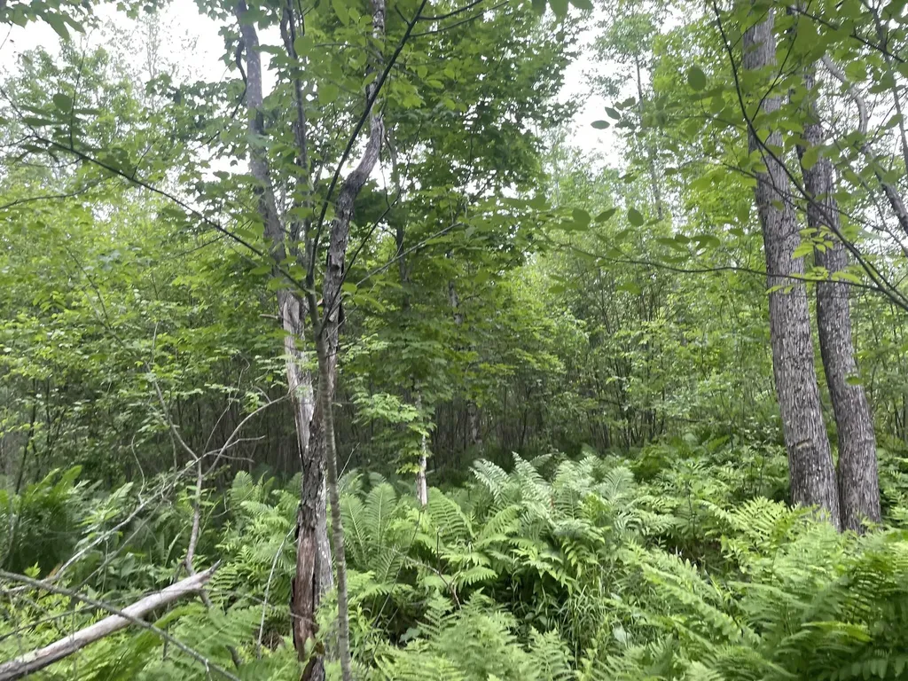 19 Swan Road New Sharon ME 04955