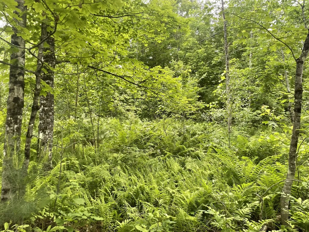 19 Swan Road New Sharon ME 04955