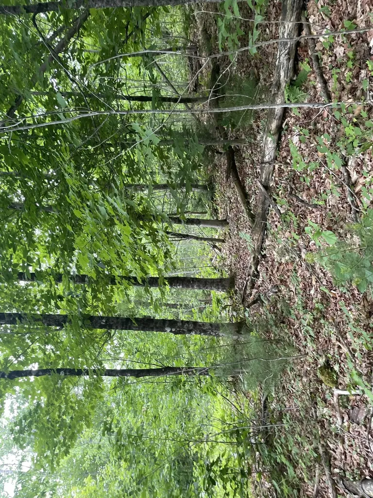 19 Swan Road New Sharon ME 04955