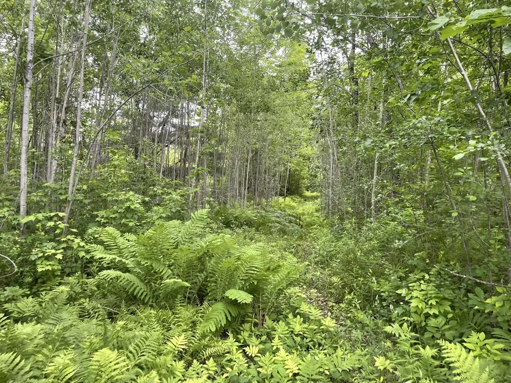 19 Swan Road New Sharon ME 04955