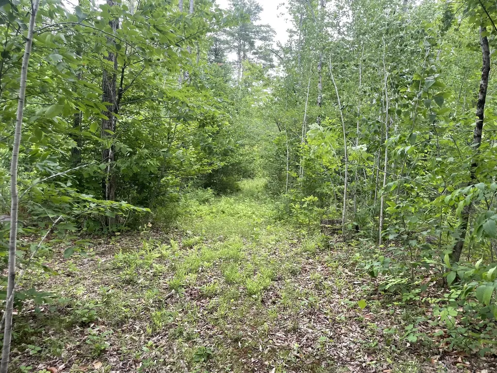 19 Swan Road New Sharon ME 04955