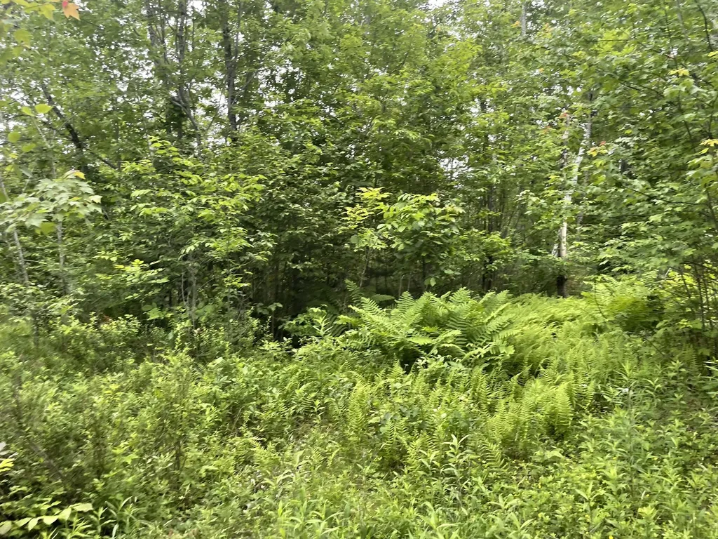 19 Swan Road New Sharon ME 04955