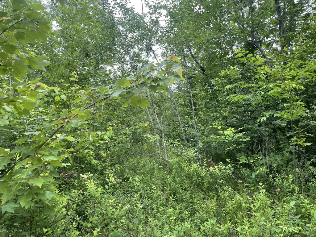 19 Swan Road New Sharon ME 04955
