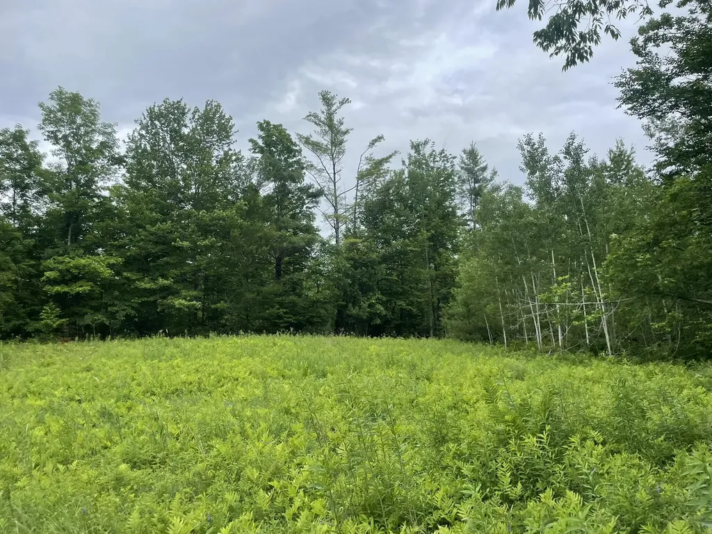 19 Swan Road New Sharon ME 04955