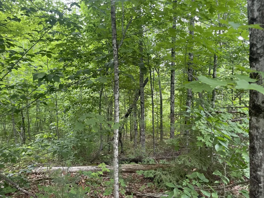 19 Swan Road New Sharon ME 04955
