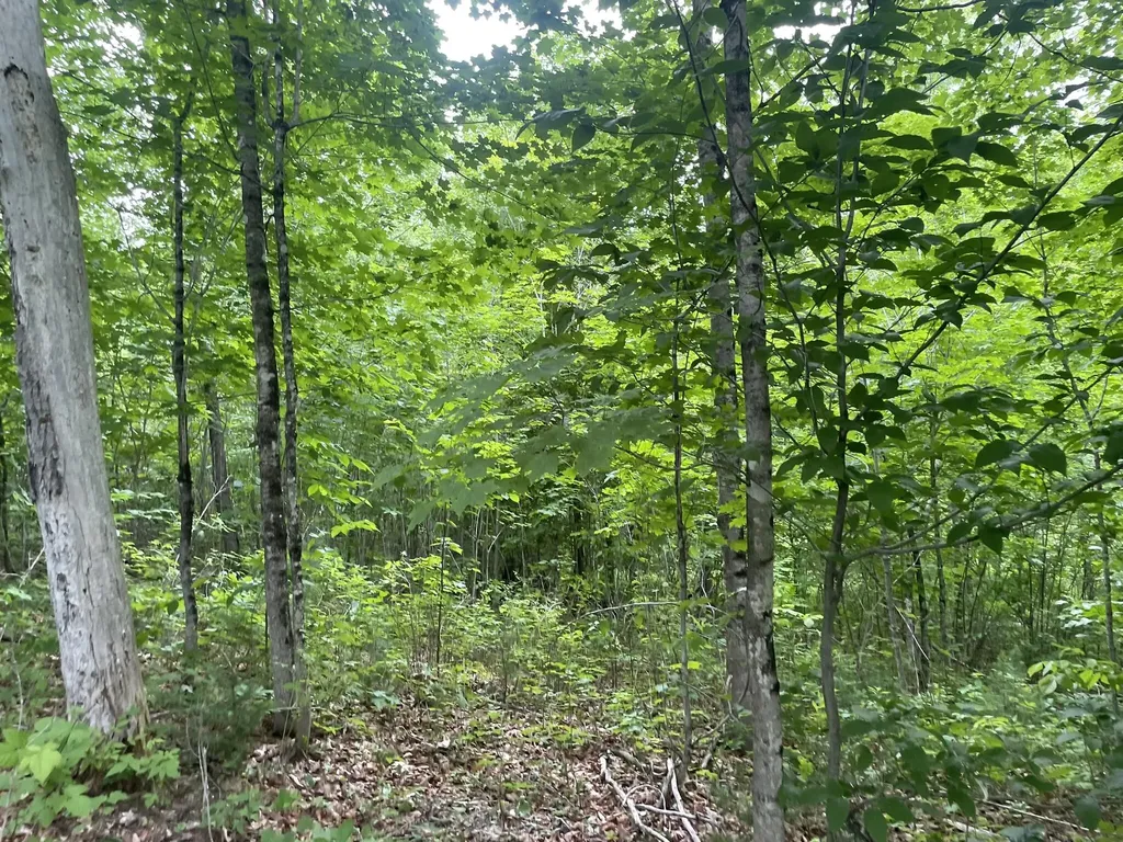 19 Swan Road New Sharon ME 04955
