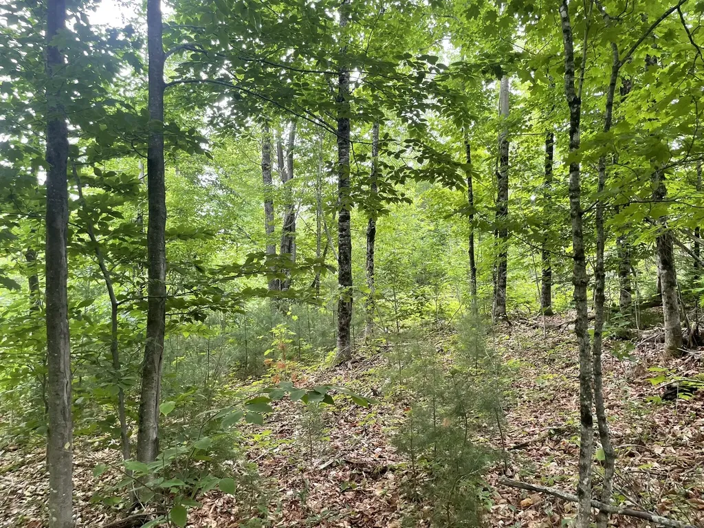 19 Swan Road New Sharon ME 04955