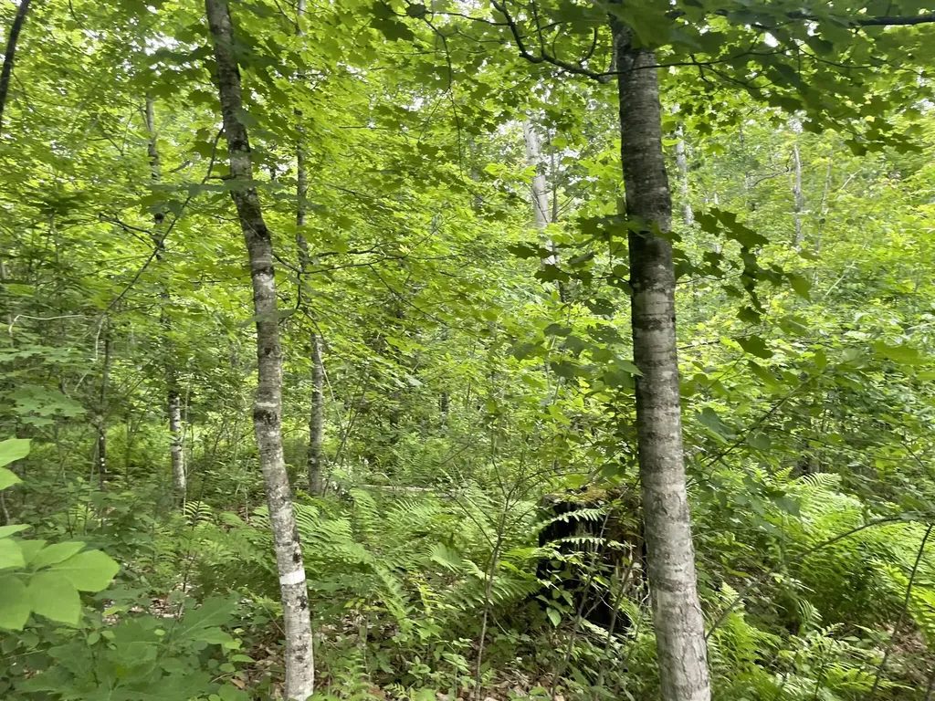 19 Swan Road New Sharon ME 04955