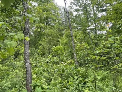 19 Swan Road New Sharon ME 04955